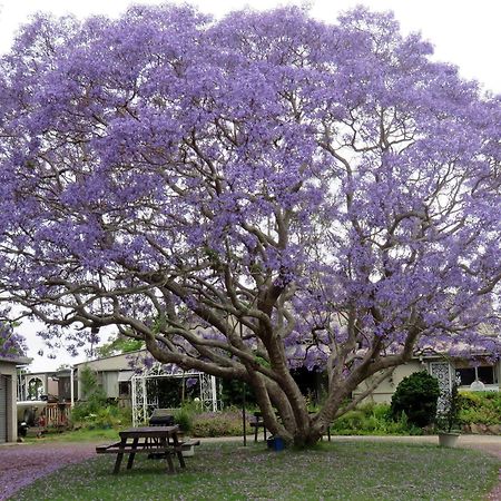 Ecotel Narooma North Narooma Экстерьер фото