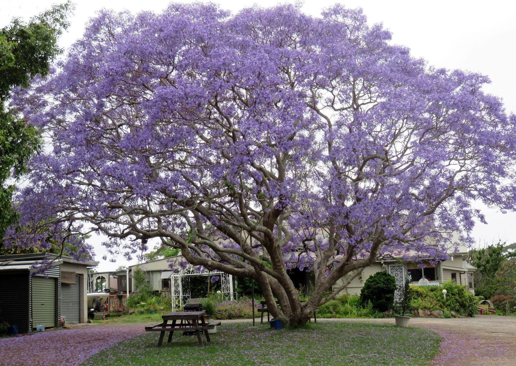Ecotel Narooma North Narooma Экстерьер фото