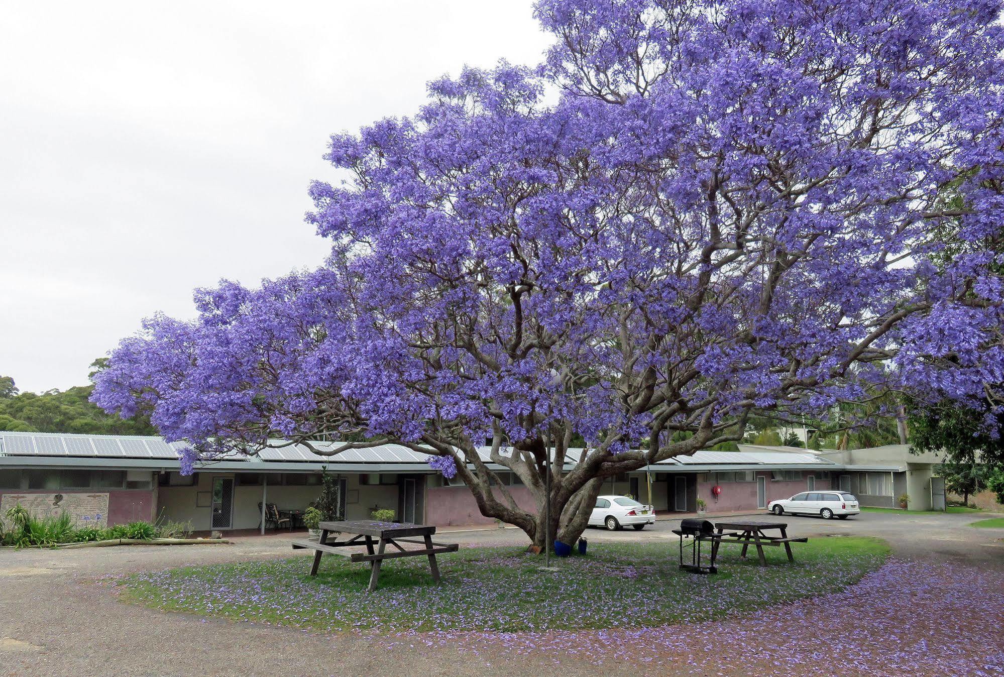 Ecotel Narooma North Narooma Экстерьер фото